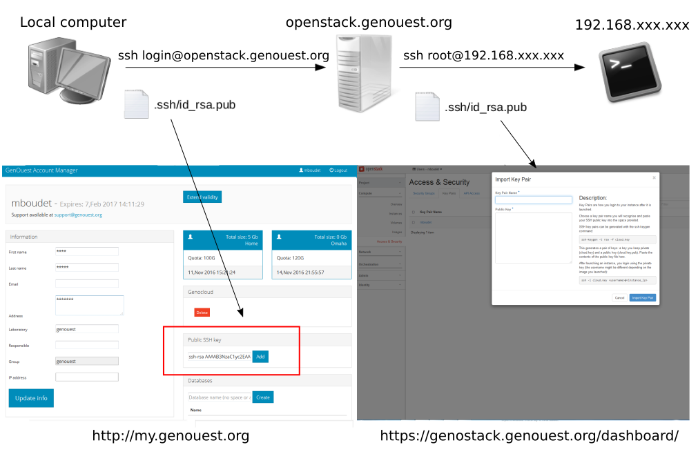 Schema